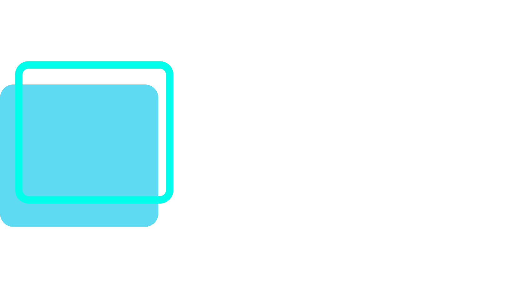 Expert Web Lille